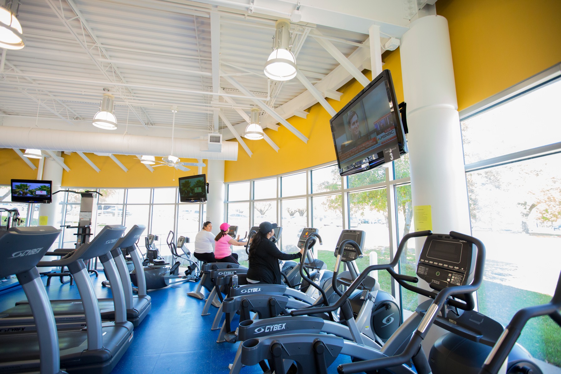 Beautiful view from the treadmills and elipticals.