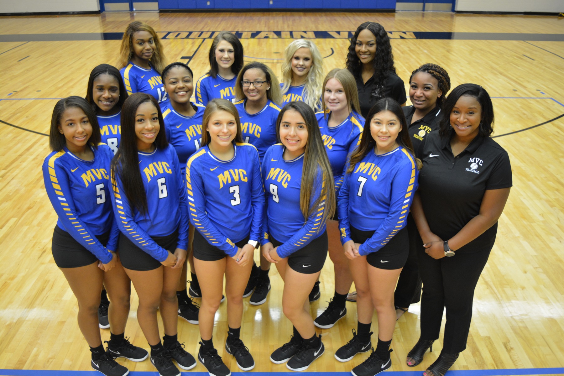 2018 Lion's Volleyball