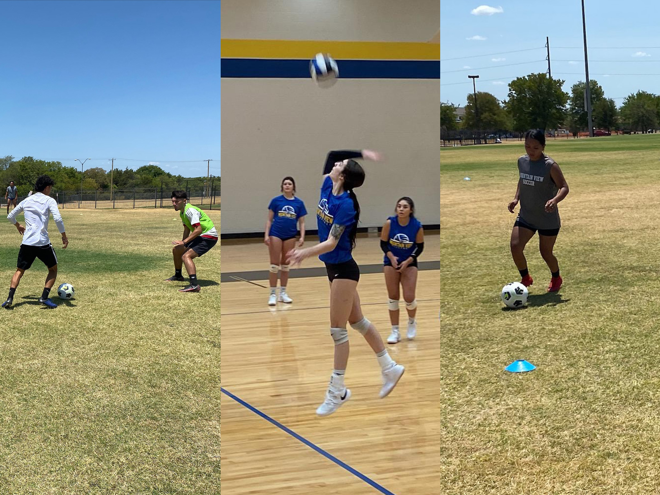 Dallas College Mountain View athletics begin the fall seasons Aug. 18. Men's soccer, volleyball and women's soccer make up the Lions' fall sports.