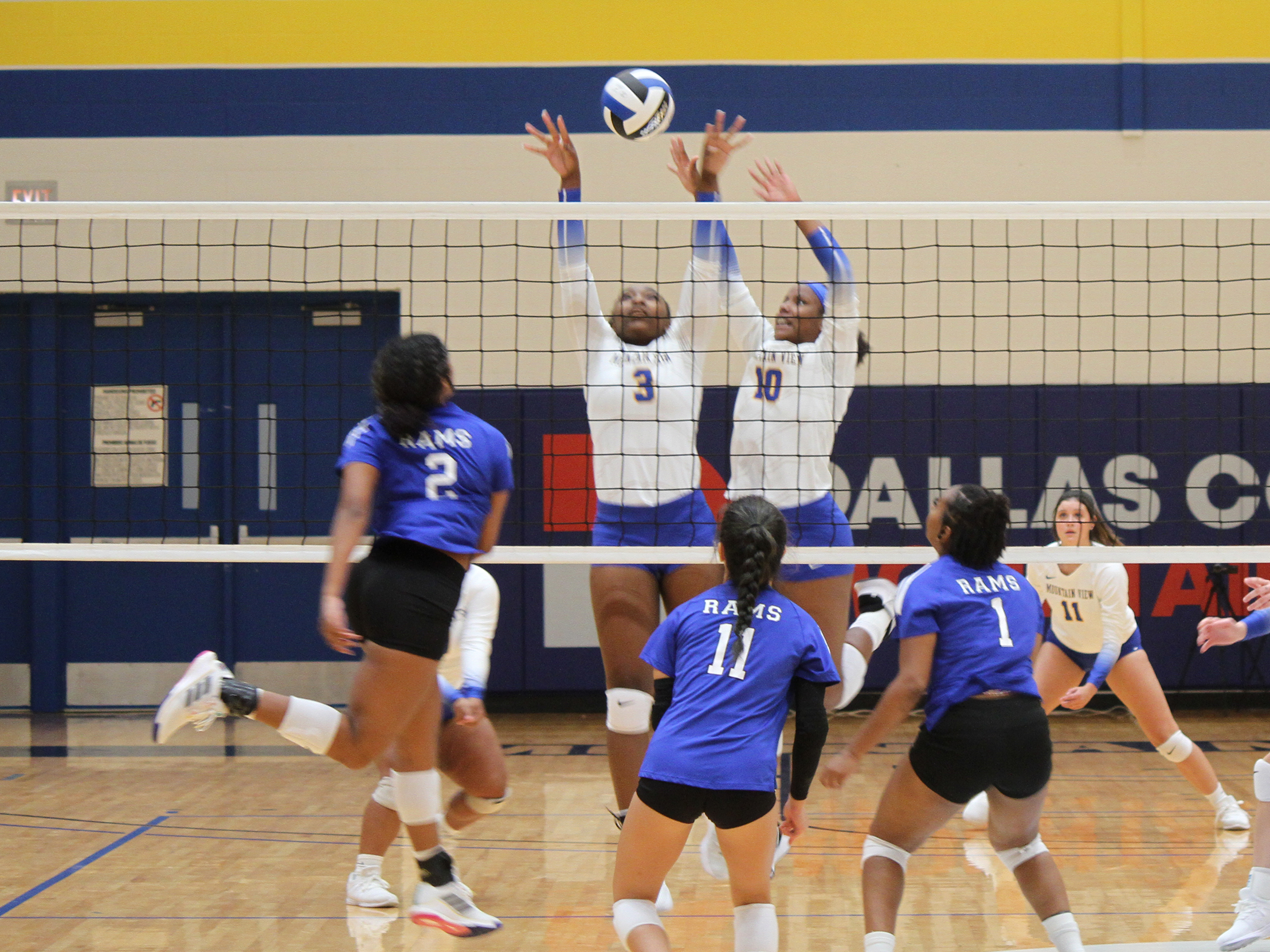 Volleyball Releases 2024 Schedule