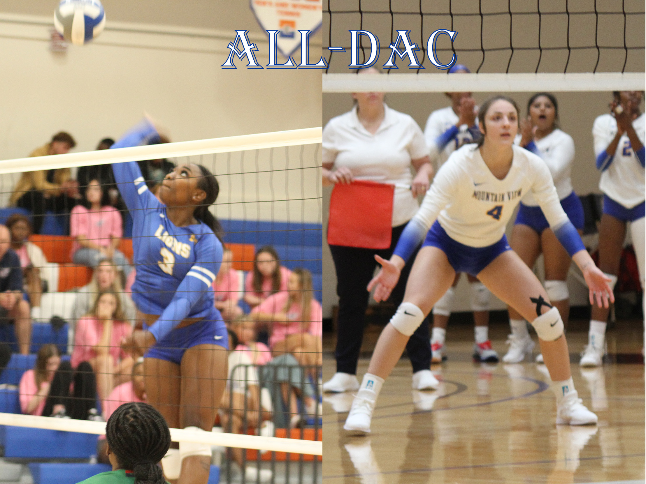 Seven Volleyball Players Earn All-DAC Awards